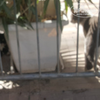 фото из отзыва ID 2088671