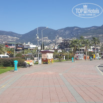 фото из отзыва ID 2088671