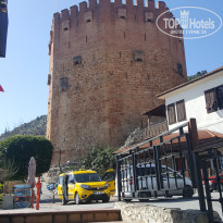 фото из отзыва ID 2088671