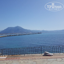 фото из отзыва ID 2088671