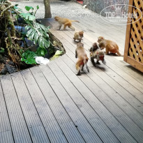 фото из отзыва ID 2089956