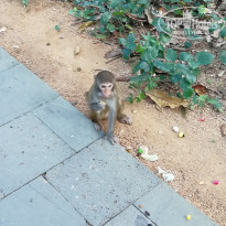 фото из отзыва ID 2089956