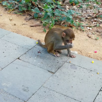 фото из отзыва ID 2089956