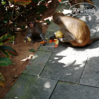 фото из отзыва ID 2089956