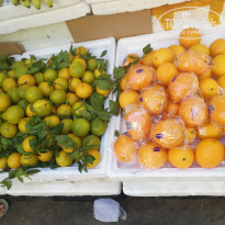 фото из отзыва ID 2089956