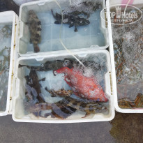 фото из отзыва ID 2089956