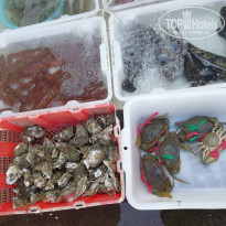 фото из отзыва ID 2089956