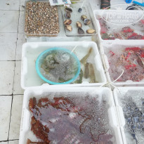 фото из отзыва ID 2089956