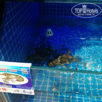 фото из отзыва ID 2089956