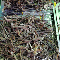 фото из отзыва ID 2089956