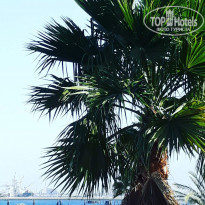 фото из отзыва ID 2089961