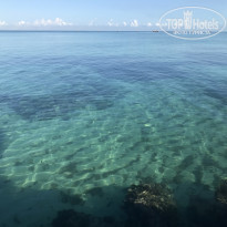 фото из отзыва ID 2087047