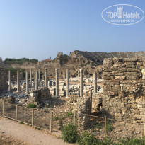 фото из отзыва ID 2087287