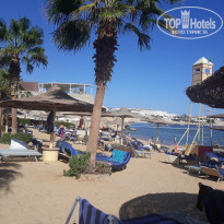 фото из отзыва ID 2086646