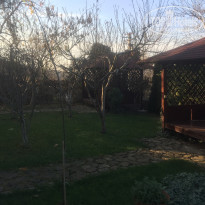 фото из отзыва ID 2087182