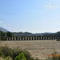 фото из отзыва ID 2085099