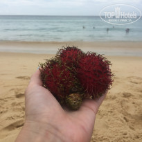 фото из отзыва ID 2083092