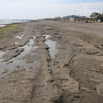 фото из отзыва ID 209536