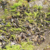 фото из отзыва ID 209536