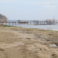 фото из отзыва ID 209536