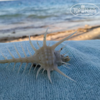 фото из отзыва ID 2090145