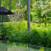 фото из отзыва ID 2090167