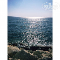 фото из отзыва ID 2090280