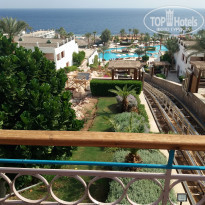 фото из отзыва ID 2090326