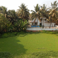 фото из отзыва ID 2090337