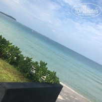 фото из отзыва ID 2090380