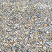 фото из отзыва ID 2090491