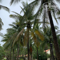 фото из отзыва ID 2090547