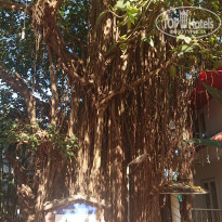 фото из отзыва ID 2090563