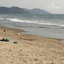 фото из отзыва ID 2090682