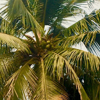 фото из отзыва ID 2090682