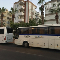 фото из отзыва ID 2090711