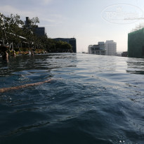 фото из отзыва ID 2090739