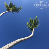 фото из отзыва ID 2090748