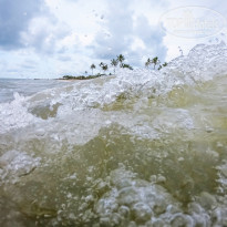 фото из отзыва ID 2090833