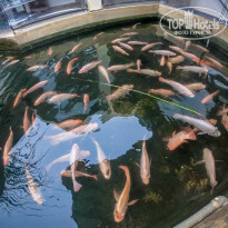 фото из отзыва ID 2090833