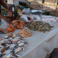 фото из отзыва ID 2090833