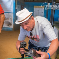 фото из отзыва ID 2090833