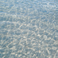 фото из отзыва ID 2090926