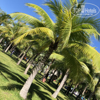 фото из отзыва ID 2090961