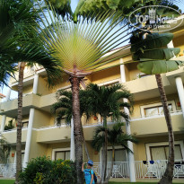 фото из отзыва ID 2090997