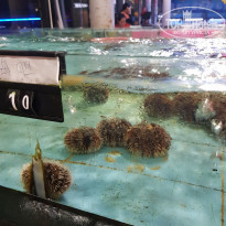 фото из отзыва ID 2090096