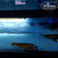 фото из отзыва ID 2090096