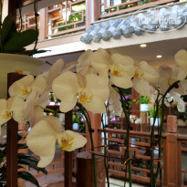 фото из отзыва ID 2090096