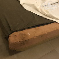 фото из отзыва ID 2091082