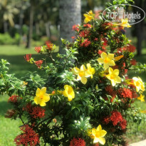фото из отзыва ID 2091108